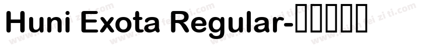 Huni Exota Regular字体转换
